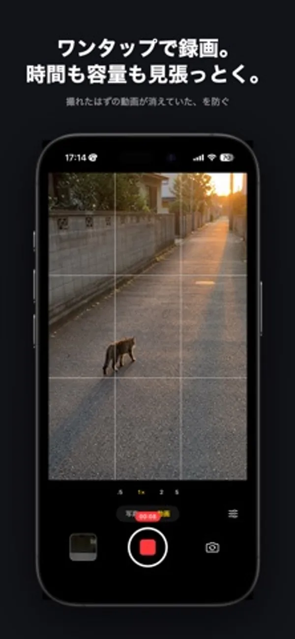 夕方の路地を歩く猫を録画しているカメラ画面。シャッター位置に赤い停止ボタンと録画時間の表示がある