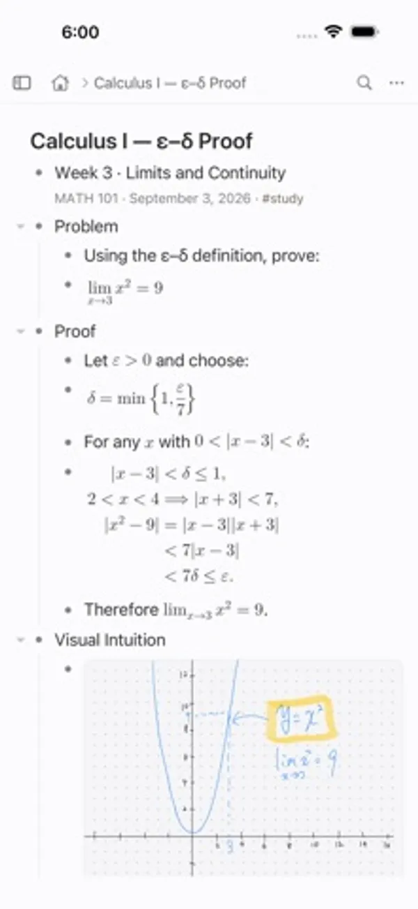 iPhone の画面。見出しの下に Problem と Proof の階層があり、LaTeX の数式が整形されて表示され、下に方眼の上に手書きしたグラフが入っている