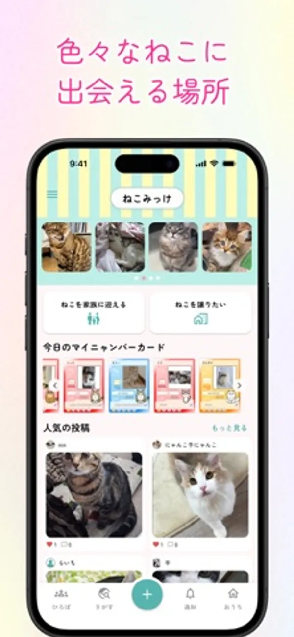 上部に猫の写真、その下に二つのボタン、カードの一覧と人気の投稿の写真が並ぶアプリの画面