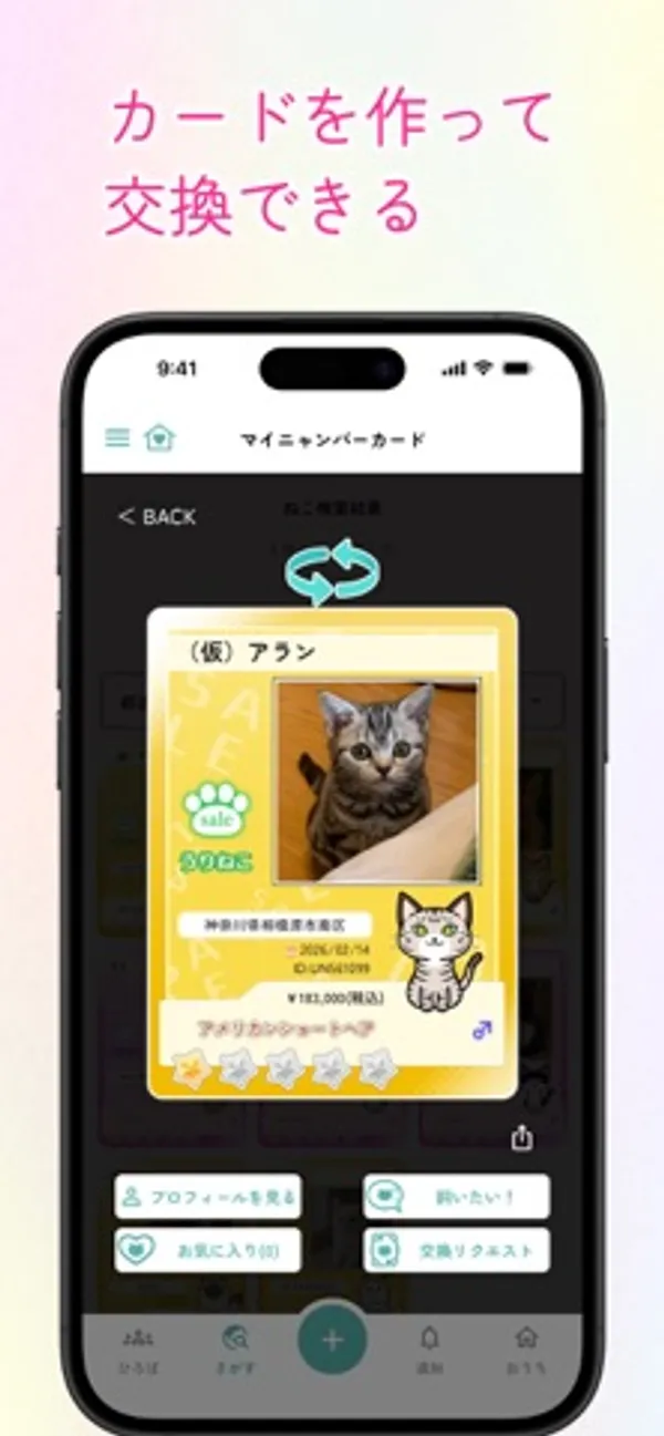 「うりねこ」の印がついたアメリカンショートヘアの猫のカードと、プロフィールを見る・お気に入り・交換リクエストなどのボタン