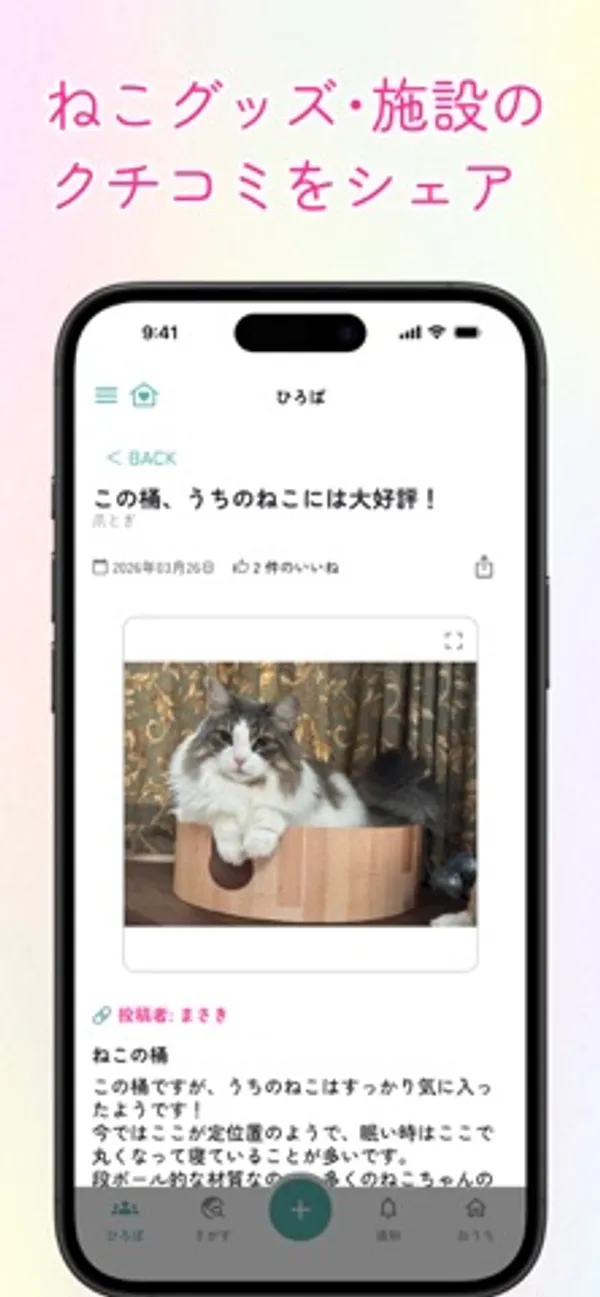 猫用の桶に入った長毛の猫の写真と、「この桶、うちのねこには大好評!」という投稿の本文