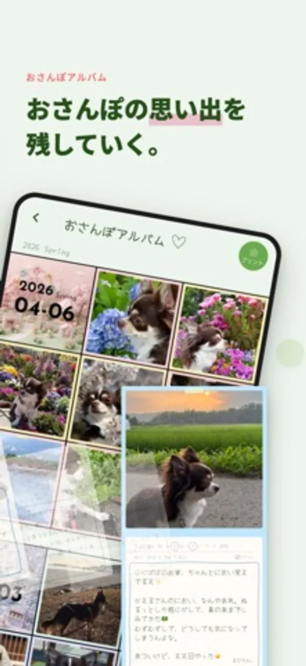 犬と花の写真で埋まったアルバム一覧と、写真付きの日記カード