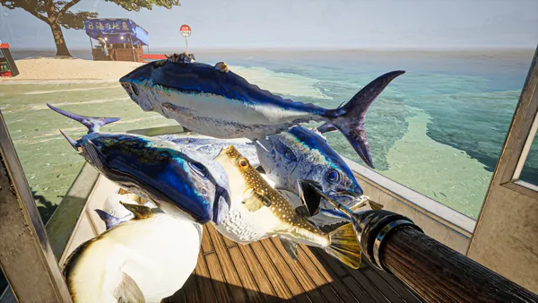 船の甲板にマグロのような大きな魚やフグが積み重なり、奥の砂浜に魚の屋台と「のりば」の標識が見える画面